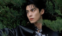 王鹤棣圈内爆料是真的吗,王鹤棣圈内爆料真实性揭秘