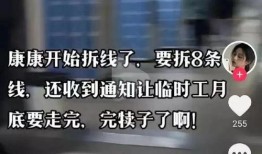 中国电子厂爆料视频播放