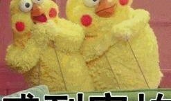 娱乐吃瓜酱爱情是什么